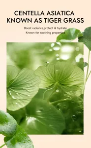 Image détaillée de soin naturel à la centella asiatica avec de fraîches feuilles.