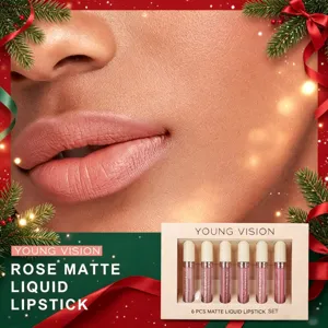 YOUNG VISION 6 PCS Matte Liquid Lipstick Set, long-lasting nude lip gloss gift box main view.