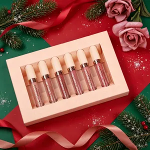 YOUNG VISION 6 Pcs Matte Liquid Lipstick Gift Set, Long-Lasting Waterproof Lip Gloss.