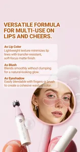YOUNG VISION multi-use liquid makeup pen for lips cheeks and eyeshadow matte finish.