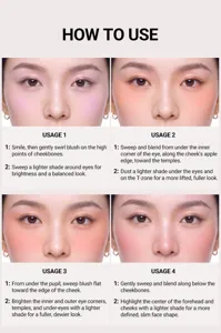 Young Vision matte powder blush usage guide tutorial detail showing four makeup methods.