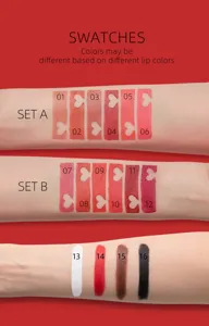 Matte Velvet Lipstick Swatches Set Long Lasting Waterproof Lip Gloss Shade Display 16 Colors