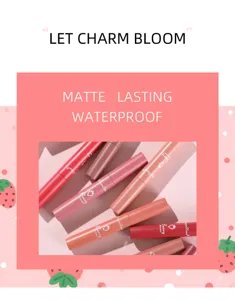 Matte velvet lip gloss detail view, waterproof long-lasting liquid lipstick in set.