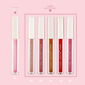 YOUNG VISION 6-piece liquid lipstick set, featuring 1 glossy lip plumper and 5 matte glosses.