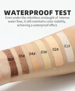Δοκιμή αδιάβροχου υγρού concealer 6 χρωμάτων με αποχρώσεις 01 έως 06 καθαρά.
