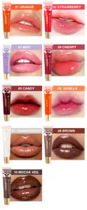 YOUNG VISION glass mirror moisturizing lip gloss hydrating fruit glossy lip tint makeup