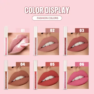 Young Vision 6-color velvet lip gloss liquid lipstick detail showing shades 01 to 06.
