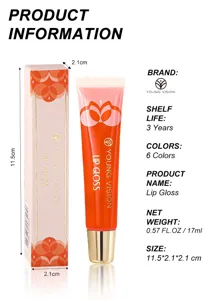 YOUNG VISION glass mirror transparent lip gloss moisturizing tint fruit lip oil 17ml makeup