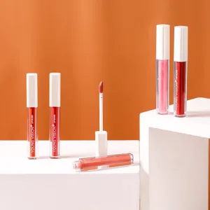 YOUNG VISION velvet matte liquid lip gloss, waterproof long-lasting tint lipstick set.