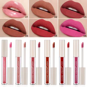 Velvet Liquid Lipstick Lip Gloss Waterproof Long Lasting Moisturizing Glossy And Matte Lip Tint Makeup Cosmetic Set