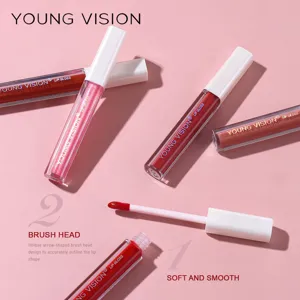 Young Vision 6-color lip gloss set featuring glossy and matte liquid lipsticks for makeup.
