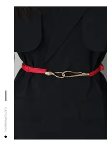Red thin waist belt detail with gold metal buckle, stylish accessory for dresses and blazers.