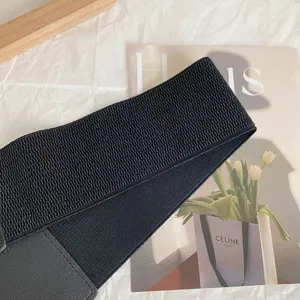 Women's Black Elastic Wide Waist Belt Dress Casual Fashion Stretch Cinch Belt Main View