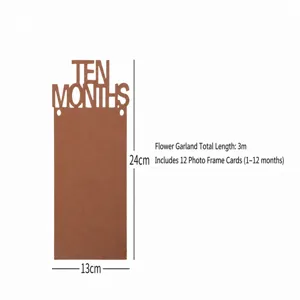 Baby photo banner size detail, 12 monthly cards, total length 3 meters, party decoration.