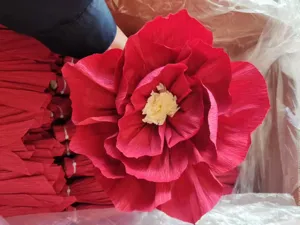 Large red crepe paper flower for wedding room party and holiday home decoration.