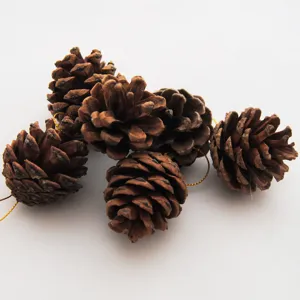 Close-up detail of natural pine cone hanging ornaments with gold strings for Christmas trees.