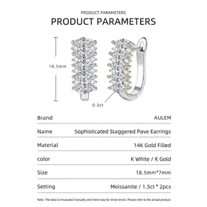 Boucles d'oreilles Moissanite Brillantes Femme Luxe Mode Quotidien Élégant Bijoux