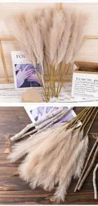 Artificial pampas grass detail shot, fluffy faux reed stems for home decor and wedding arrangement.