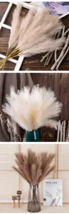 Artificial pampas grass 4-fork fake reed floral for home wedding decor INS style wholesale