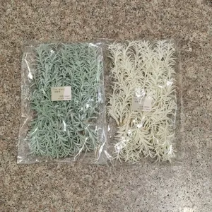 Υλικό ανθοδέσμης αστερόχορτου DIY για διακόσμηση γάμου και αξεσουάρ φωτογραφίας.