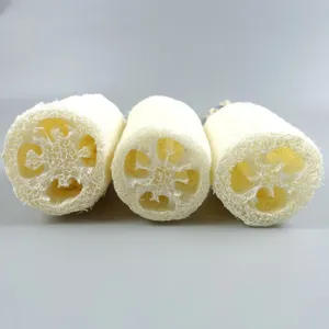 Natürliche Luffaschwamm Scheiben Peeling Körperwäscher Badeschwamm Detailansicht.