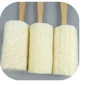Natürlicher Luffa Badeschwamm mit langem Holzgriff für Körperpeeling und Dusche reinigen