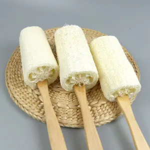 Detailaufnahme von natürlichen Luffa Körperbürsten mit langen Holzgriffen ordentlich präsentiert.