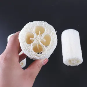 Vue détaillée d'éponge loofah naturelle, montrant la section de fibre végétale et sa texture.