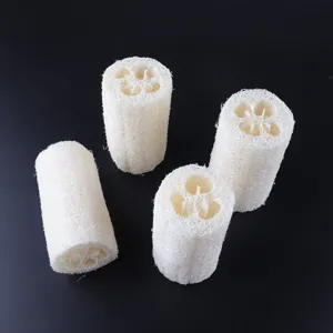 Éponge loofah en fibre végétale naturelle pour le bain exfoliant biodégradable éponge