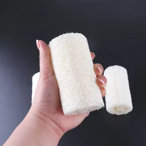 Gros plan de loofah naturel, montrant clairement la texture et la forme de la fibre.