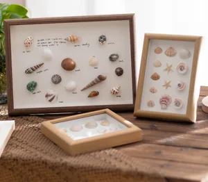 Solid wood shadow box frame for 3D seashell specimen display table photo frame home decor.