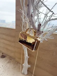 Gold mirror surface hard clutch bag with metal chain, luxury niche evening bag main view.