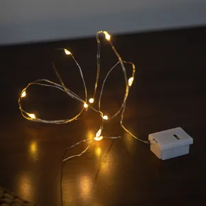 Warm LED copper wire string lights with battery box for DIY crafts and home decor main view.