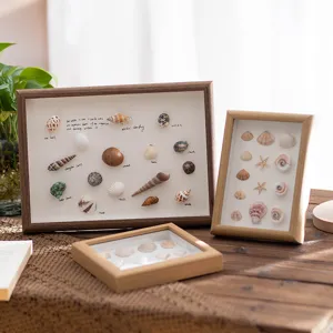 Solid wood shadow box frame for seashell specimen display creative home decor tabletop wall mount