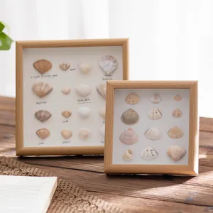 Wooden shadow box frame for seashell specimen display desktop wall mount 3D photo frame