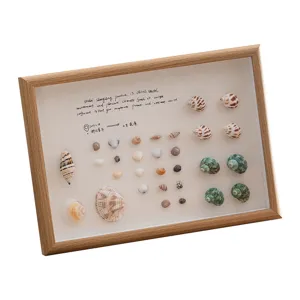 Wooden shadow box frame with natural sea shells specimen display, perfect home decor.