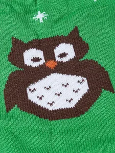 Close-up detail of green knit pet sweater featuring cute owl pattern and texture.
