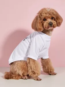 Αναπνεύσιμο δικτυωτό T-shirt κατοικιδίων για άνοιξη καλοκαίρι, κλασικά ρούχα σκύλου λεπτομέρεια.