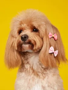 Jolie pince à cheveux nœud rose pour petits chiens, accessoires de poils de style coréen.