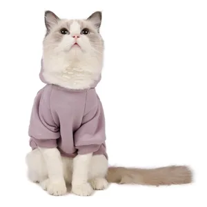 Close-up detail of cute cat wearing cozy mauve fleece hoodie pet apparel for autumn winter.