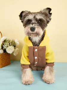 Detailaufnahme des farbblockierten Hundehoodies, warme Fleece-Haustiershirt für kleine Hunde.