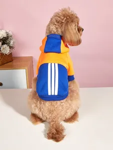 Detailansicht eines bunten Fleece Hundepullovers mit Kapuze, ideal für kleine Haustiere.