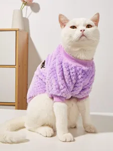 Pet fleece sweater detail, soft purple coral velvet fabric with ribbed crew neck design.