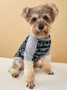 Cute pet t-shirt for small dogs featuring raglan sleeves and trendy letter pattern print.