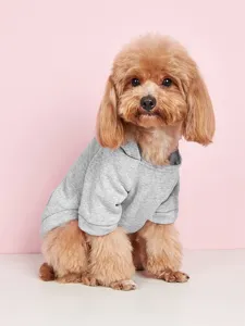 Grey pet hoodie detail, cozy cotton fabric and cute design for small dogs and cats apparel.