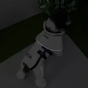 Vue détaillée d'imperméable pour chien avec bandes réfléchissantes lumineuses pour la nuit.