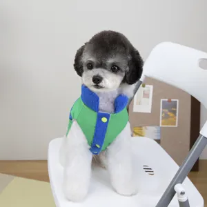 Cappotto caldo invernale per cani impermeabile antivento abbigliamento due zampe animali