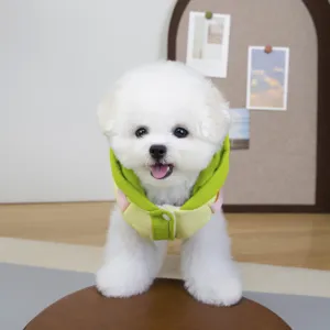 Detailopname van een schattige hond die een kleurrijke gevoerde huisdierenjas draagt.