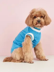 Detailed view of breathable mesh pet dog vest, color-block ribbed collar, summer jersey style.