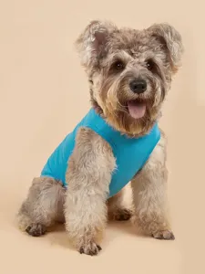 Detailopname van een schattige hond in een ademend blauw huisdierhesje voor de zomer.